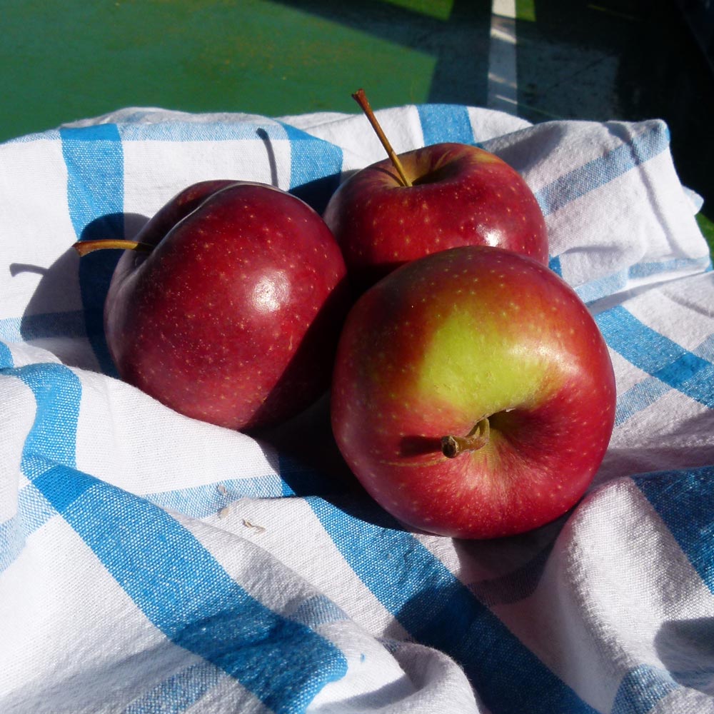 Jablká 1 kg