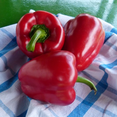 domaca-paprika-cervena-kapia-04