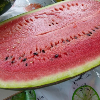 Melón